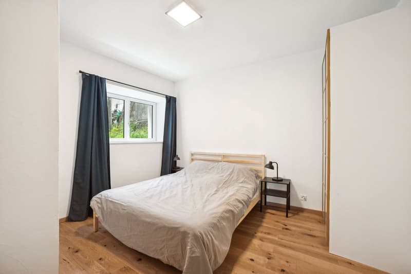 Renovated Duplex Apartment (4)