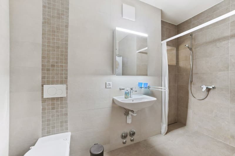 Renovated Duplex Apartment (5)