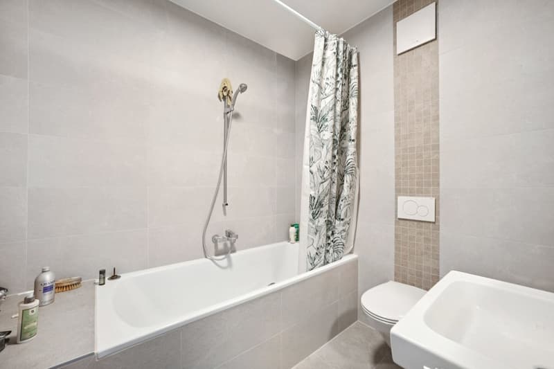Renovated Duplex Apartment (8)