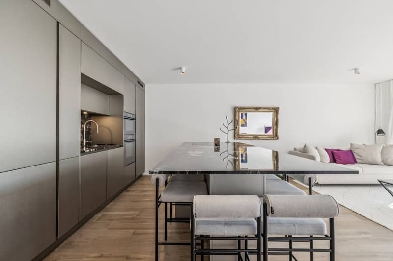 3.5 rooms of high standard, new (4)