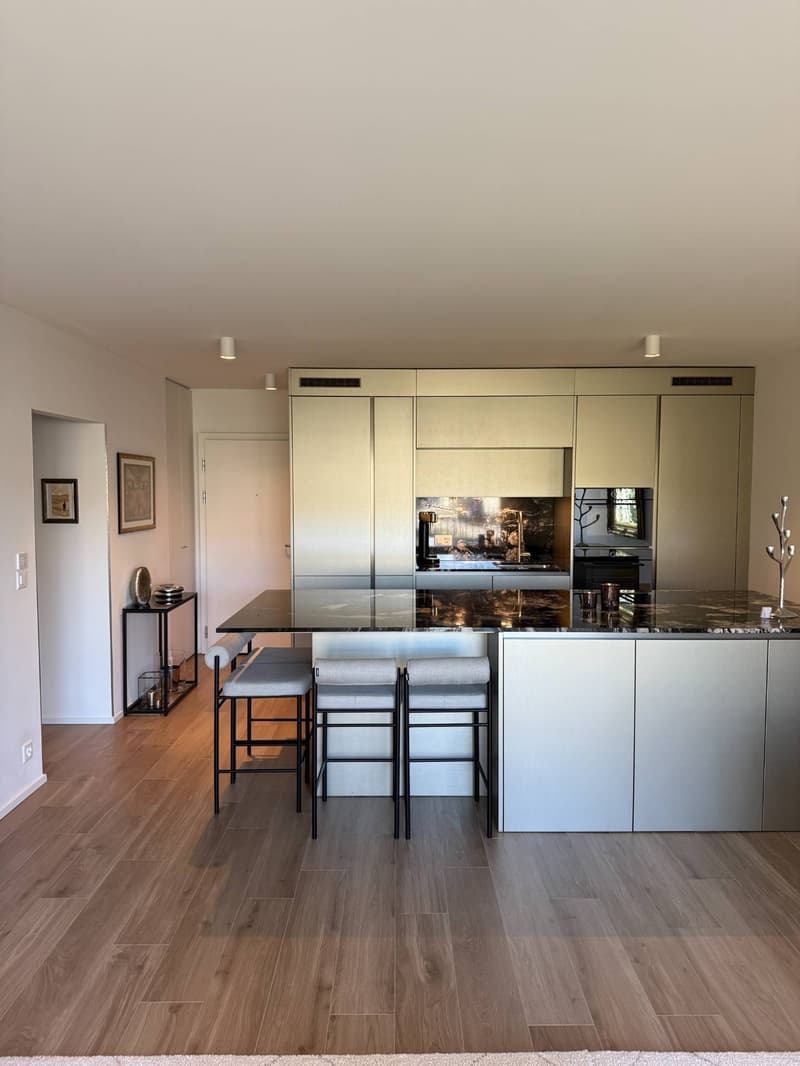 3,5 Zimmer von hohem Standard, neu (2)