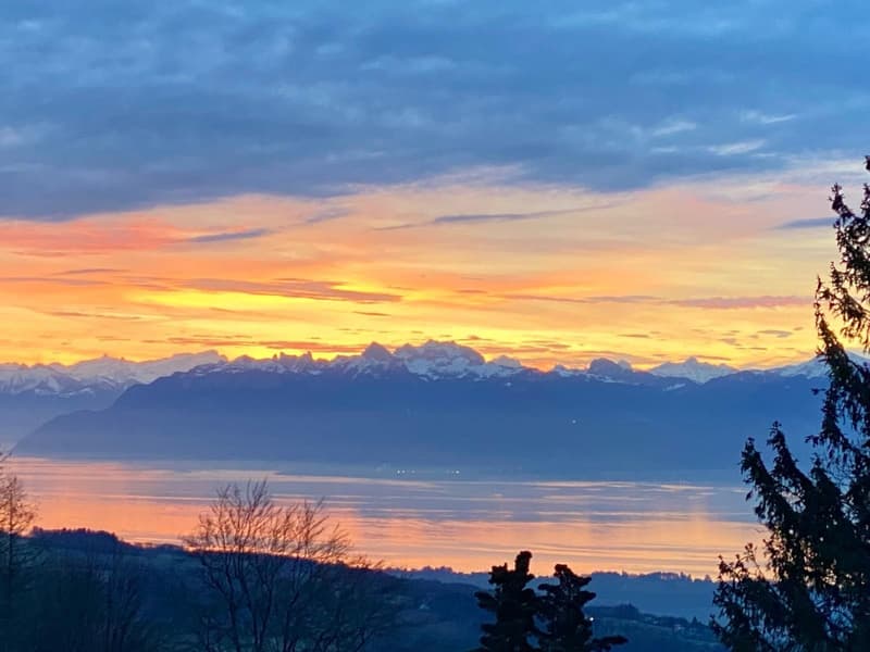 vue sur les Alpes