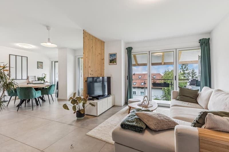 Joli duplex récent et spacieux (1)