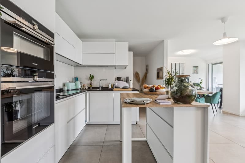 Beautiful recent and spacious duplex (4)