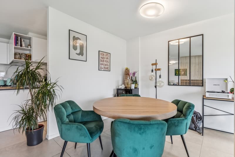 Beautiful recent and spacious duplex (5)