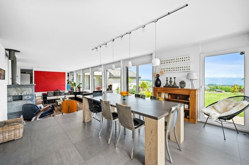 Villa vue sur le lac et les Alpes (6)