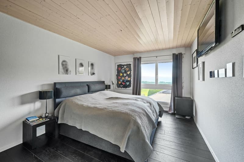Contemporary villa with a view of the lake and the Alps (11)