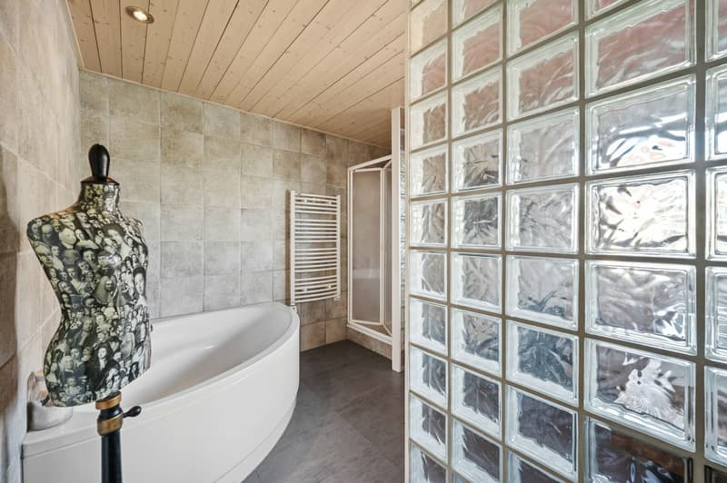 Contemporary villa with a view of the lake and the Alps (12)
