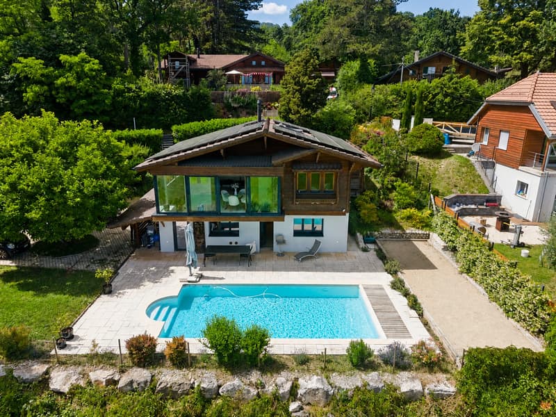 Splendid lake view, chalet with pool (2)
