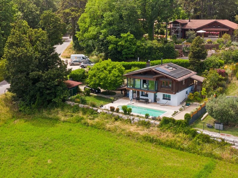 Splendid lake view, chalet with pool (9)