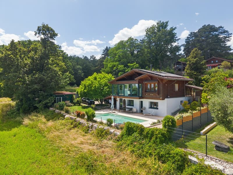 Splendid lake view, chalet with pool (1)
