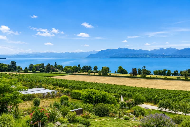 Vue Panoramique lac