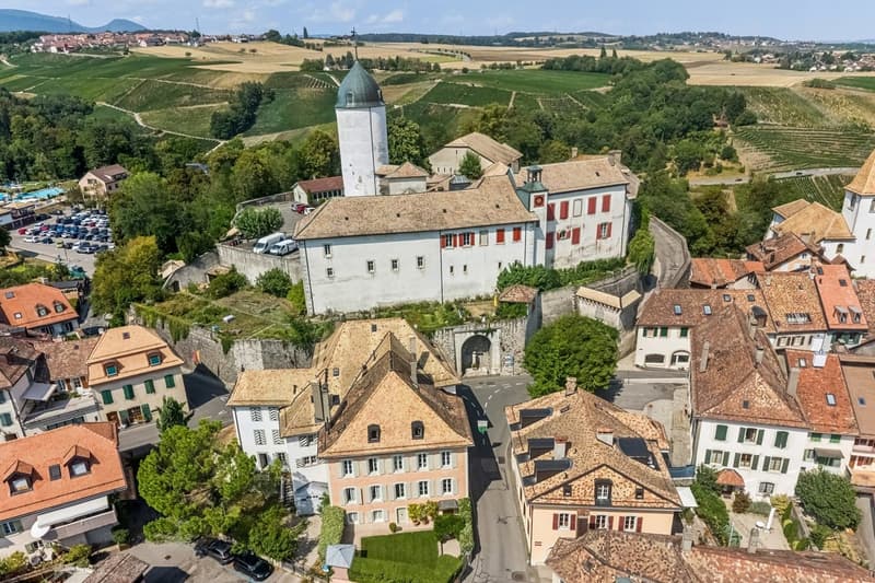 Rare et exceptionnelle maison historique (2)