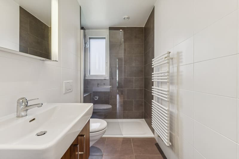 Salle de douche + wc
