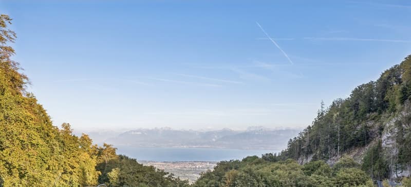 Belle opportunité - Qualité, tranquillité et vue sur le Léman et les A (7)