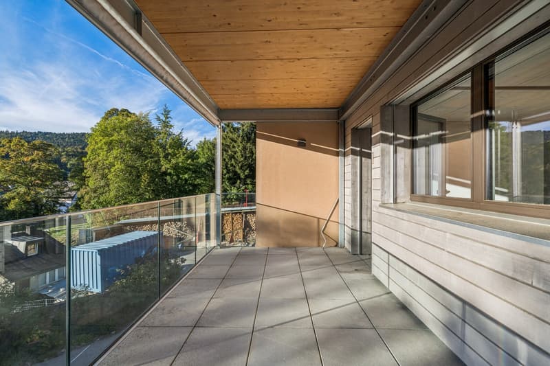 Belle opportunité - Qualité, tranquillité et vue sur le Léman et les A (13)