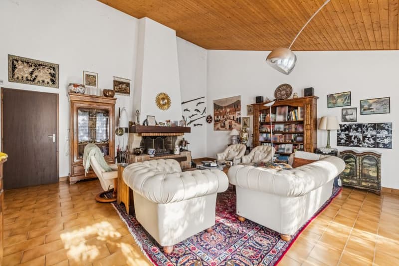 Exclusivity - 6-room house with garden (2)