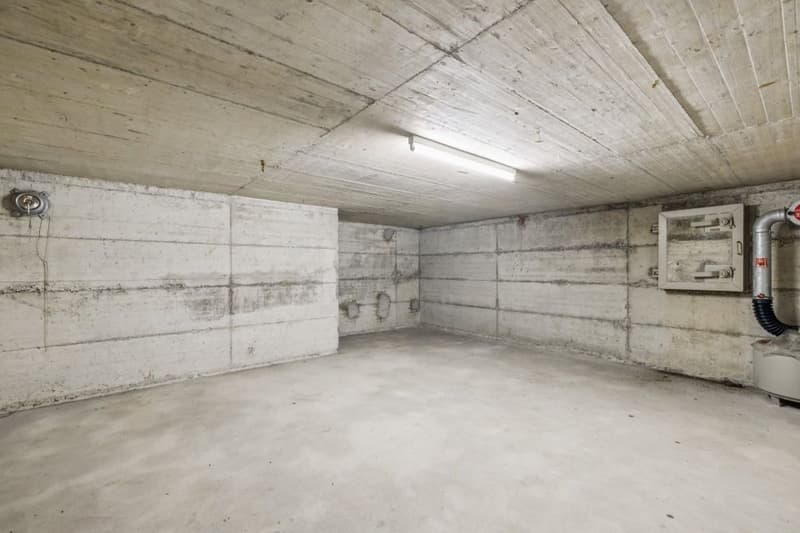 Exclusivity - 6-room house with garden (6)