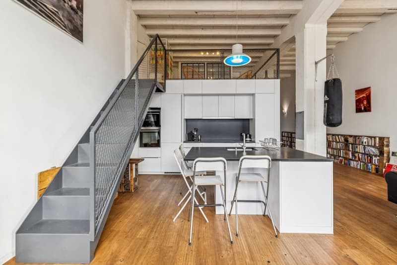 Exceptional loft in Geneva (9)