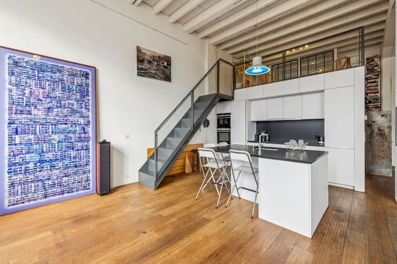 Exceptional loft in Geneva (8)