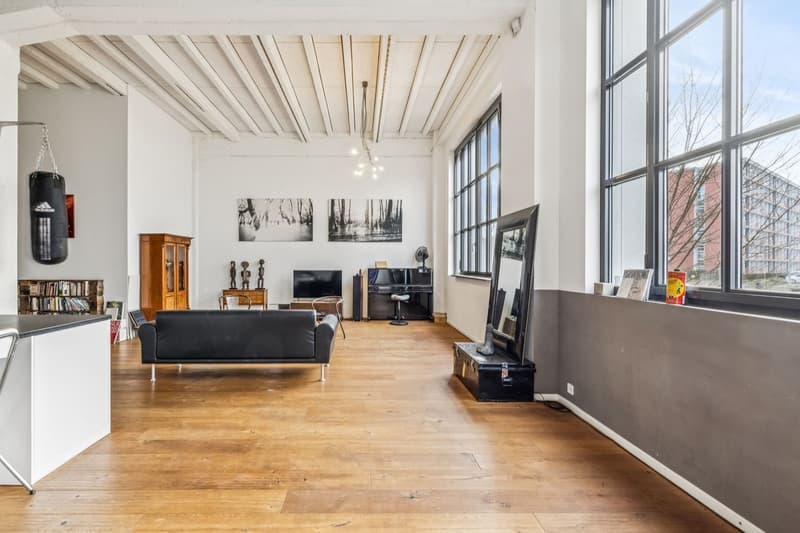 Exceptional loft in Geneva (7)