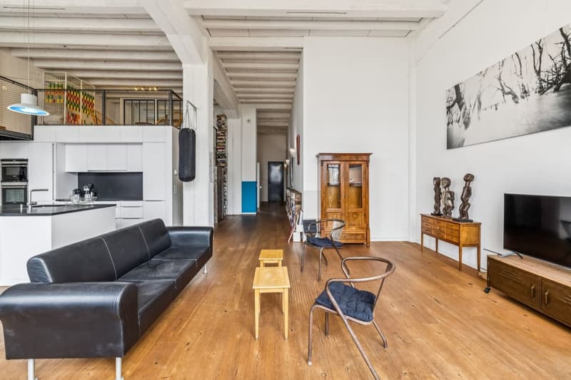 Exceptional loft in Geneva (5)