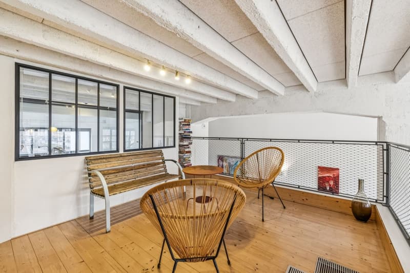 Exceptional loft in Geneva (10)