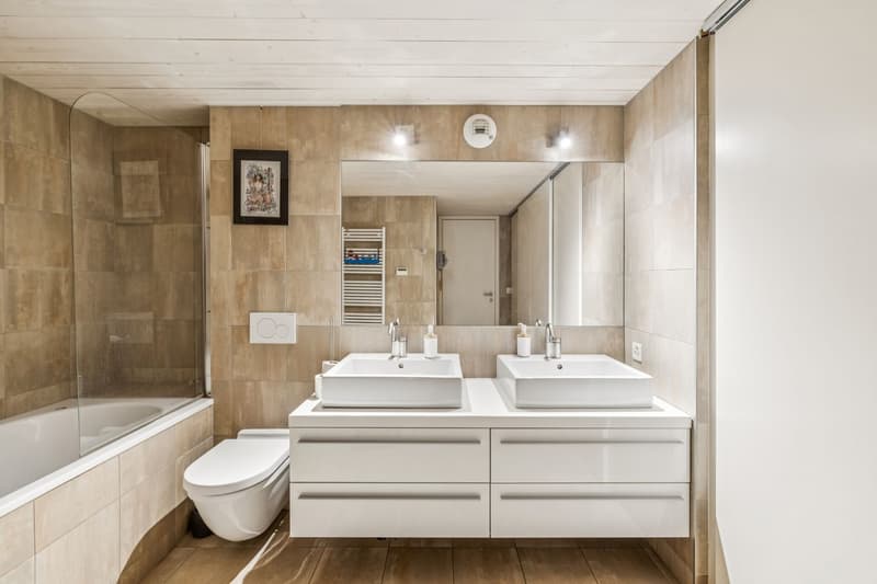 Exceptional loft in Petit-Saconnex (4)