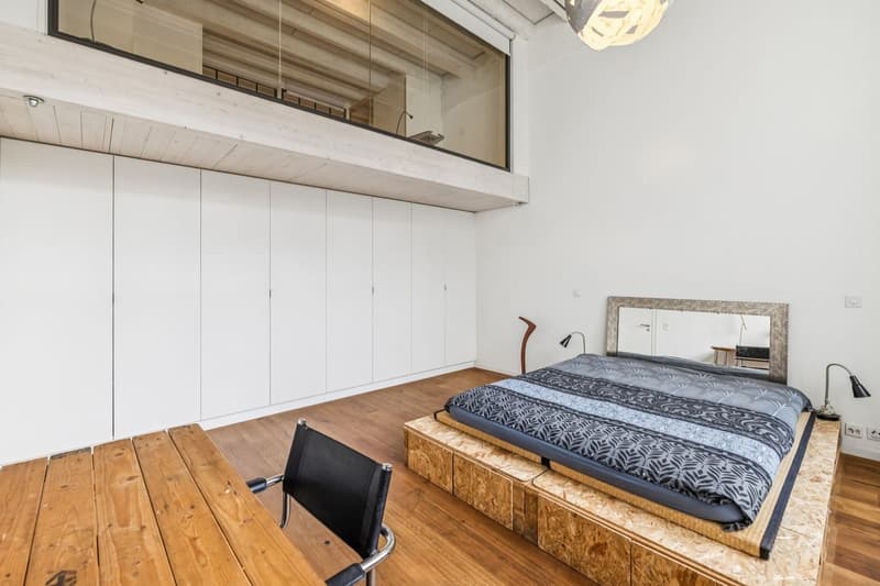 Exceptional loft in Geneva (3)