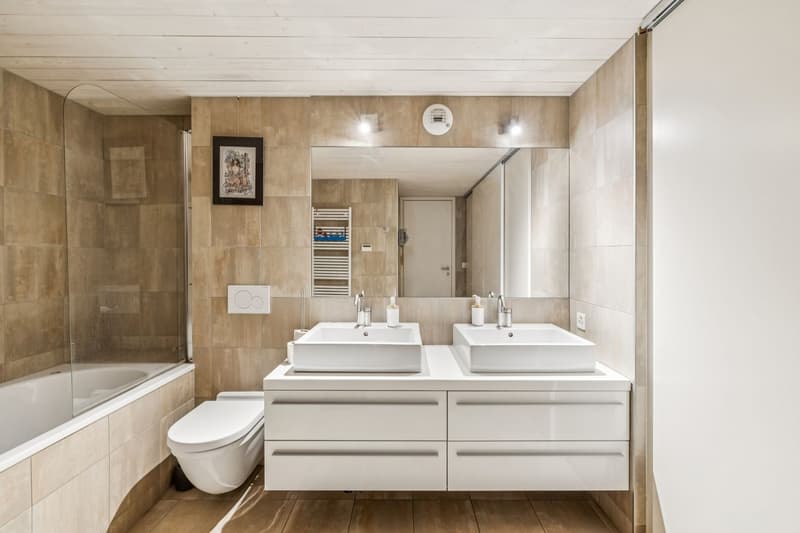 Exceptional loft in Geneva (4)
