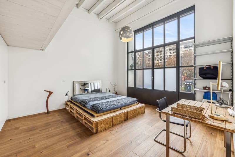 Exceptional loft in Geneva (2)