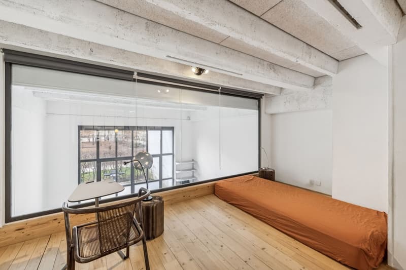 Exceptional loft in Geneva (11)