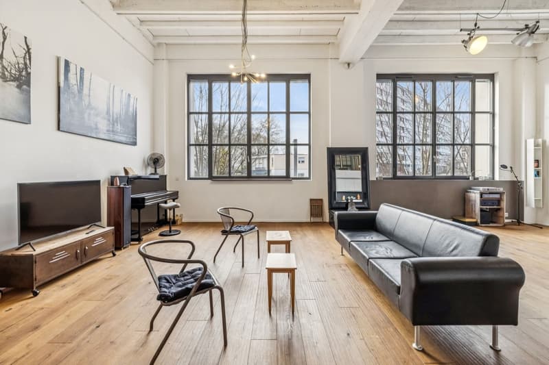 Exceptional loft in Geneva (1)
