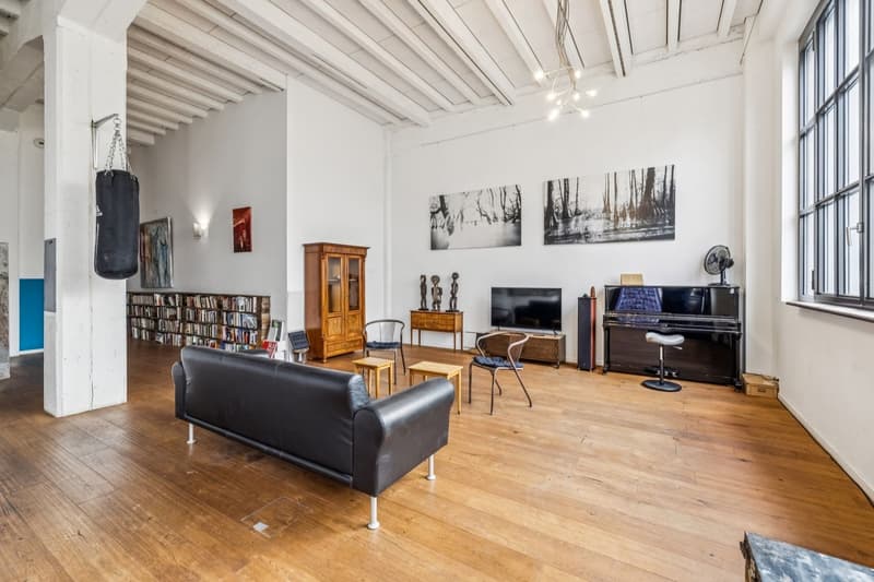 Exceptional loft in Geneva (6)