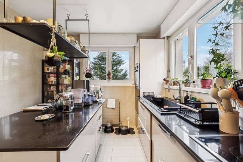 Elegant semi-detached house, green setting in Corsier (7)