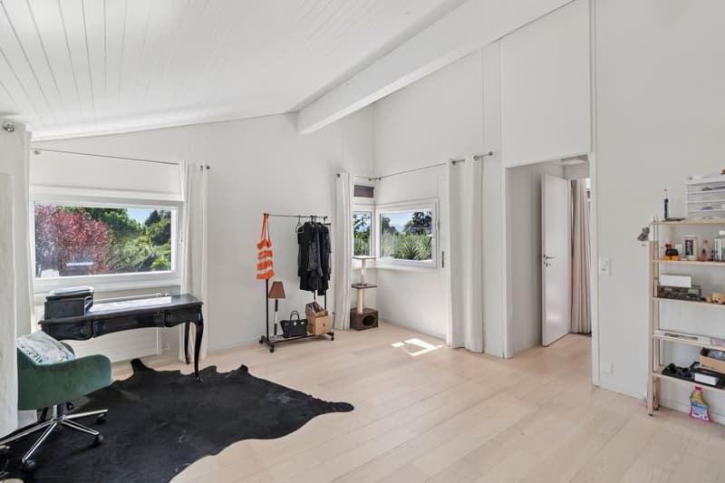 Contemporary elegance in the heart of the Geneva countryside (8)
