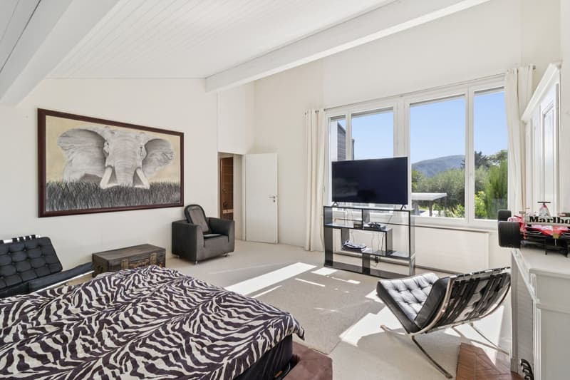 Contemporary elegance in the heart of the Geneva countryside (7)