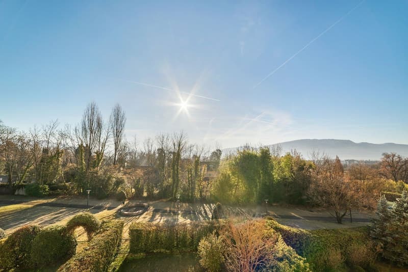Exceptional duplex in Cologny (2)