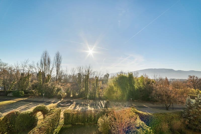 Exceptional duplex in Cologny (2)