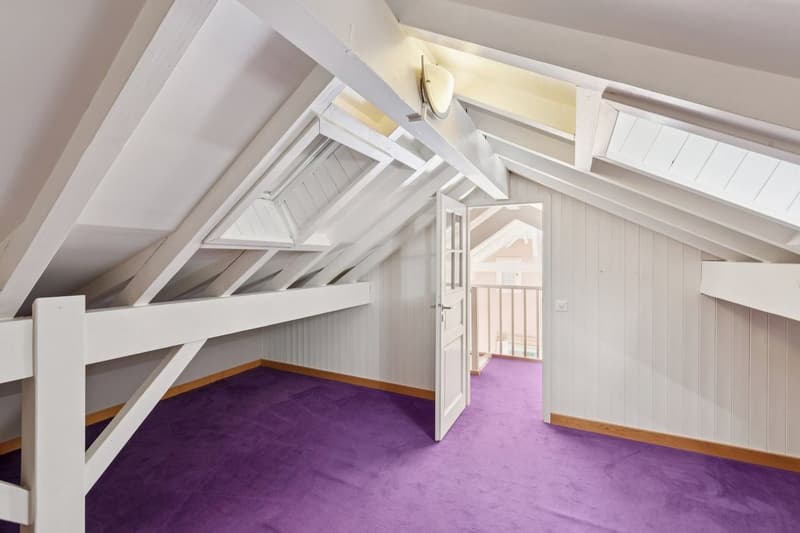 Magnifique propriété familiale rénovée au coeur de Bellevue (12)