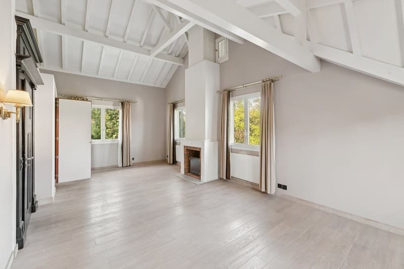 Magnifique propriété familiale rénovée au coeur de Bellevue (8)
