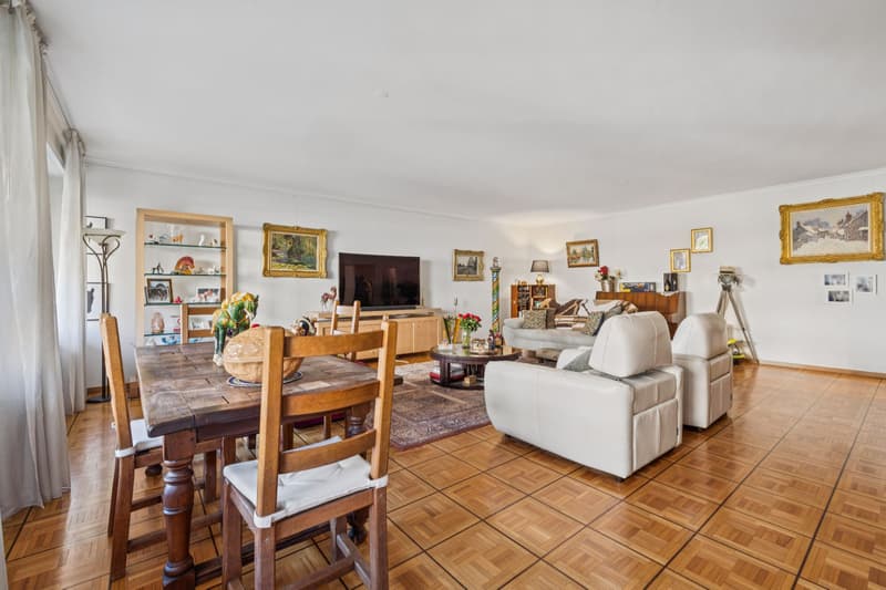 Flourishing 6-room crossing apartment (3)