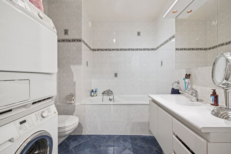 Flourishing 6-room crossing apartment (7)