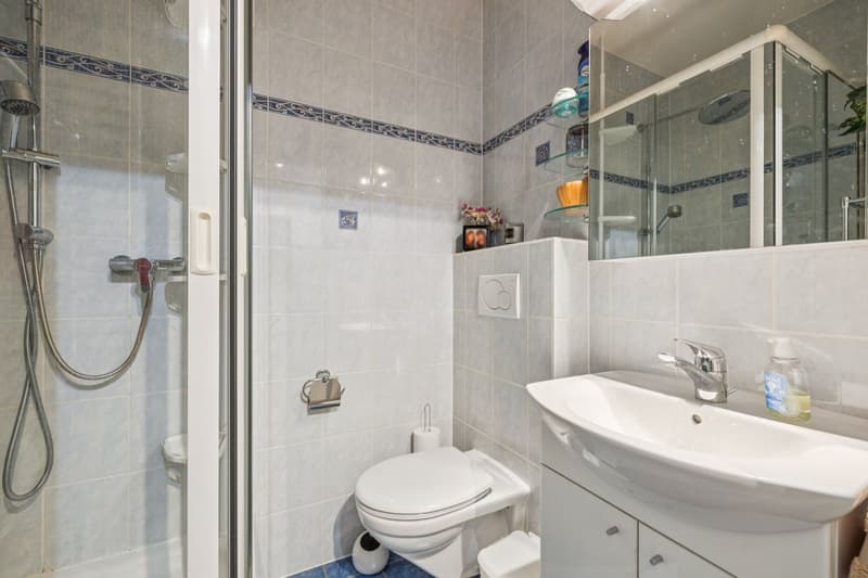 Flourishing 6-room crossing apartment (11)