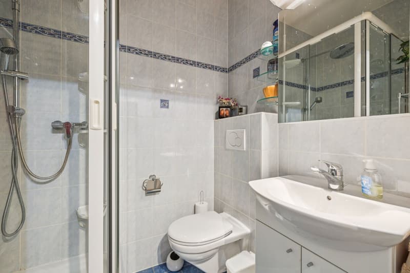 Flourishing 6-room crossing apartment (11)