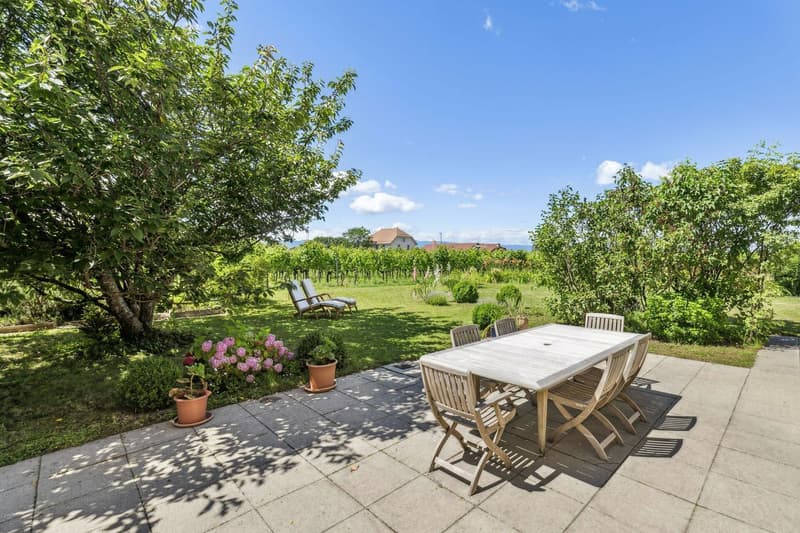 Beautiful house with character in the heart of Jussy (3)