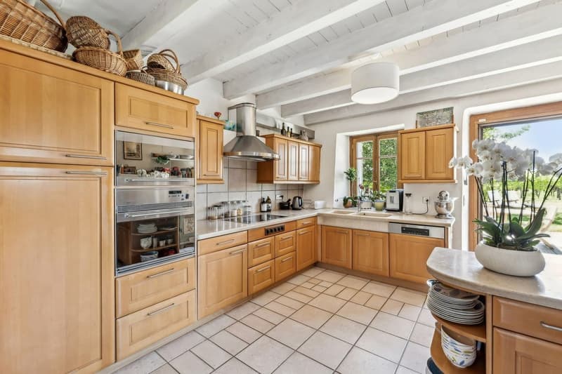 Magnifique maison avec cachet au coeur de Jussy (4)