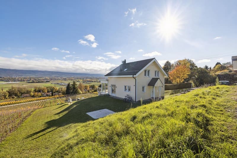 Individual villa with 9 rooms and panoramic view (12)