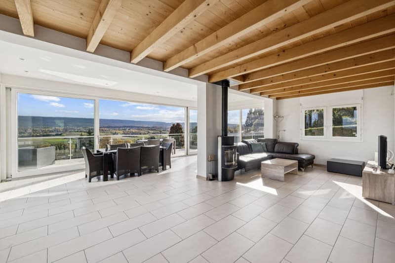 Individual villa with 9 rooms and panoramic view (4)