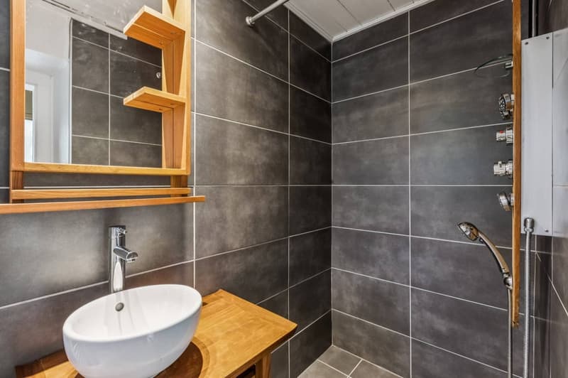 Une salle de douche avec WC et buanderie
